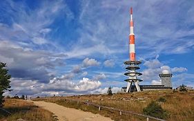 FeWo FITTJE Braunlage Harz