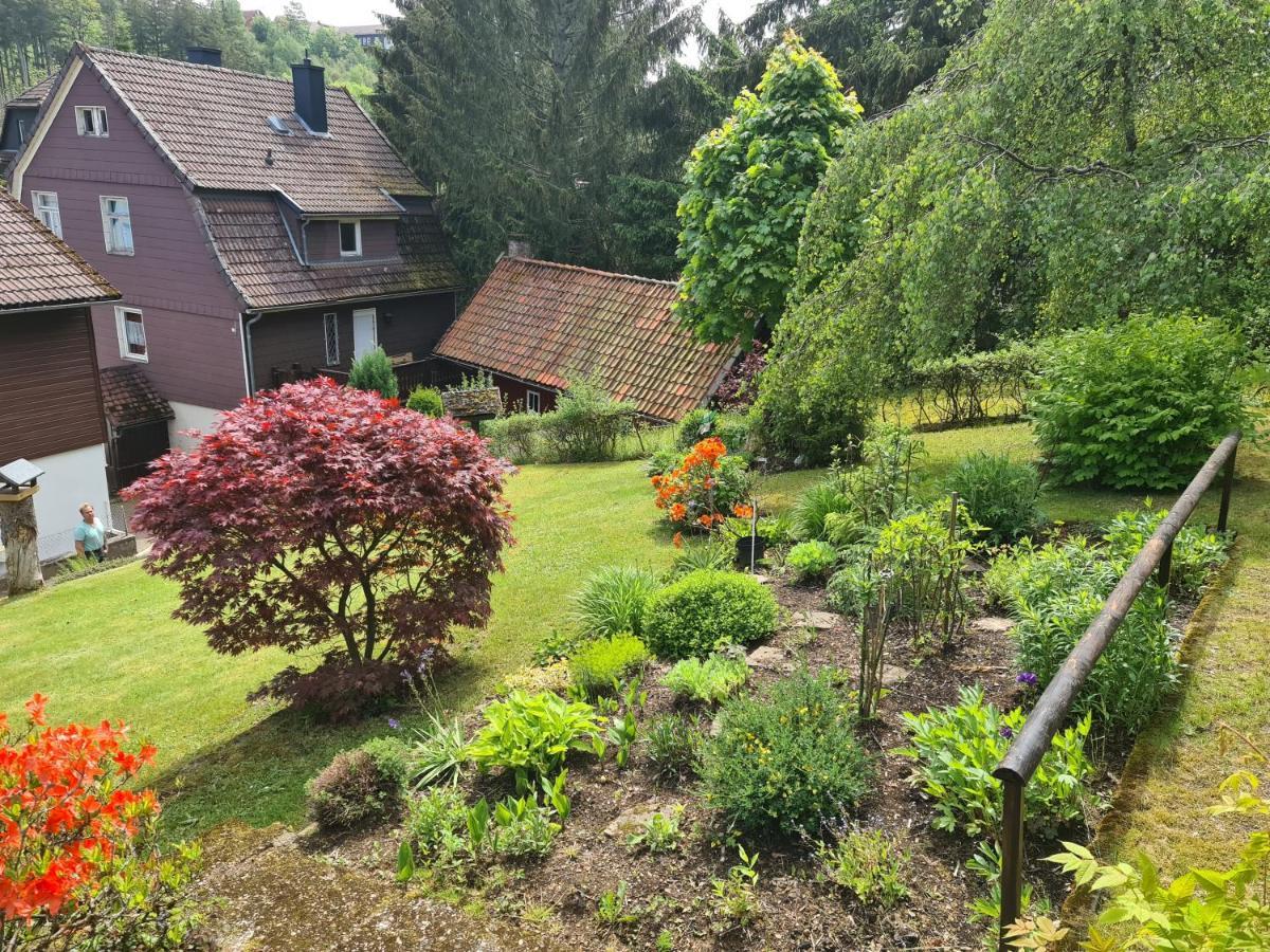 Ferienwohnung FeWo FITTJE Braunlage Harz Exterior foto