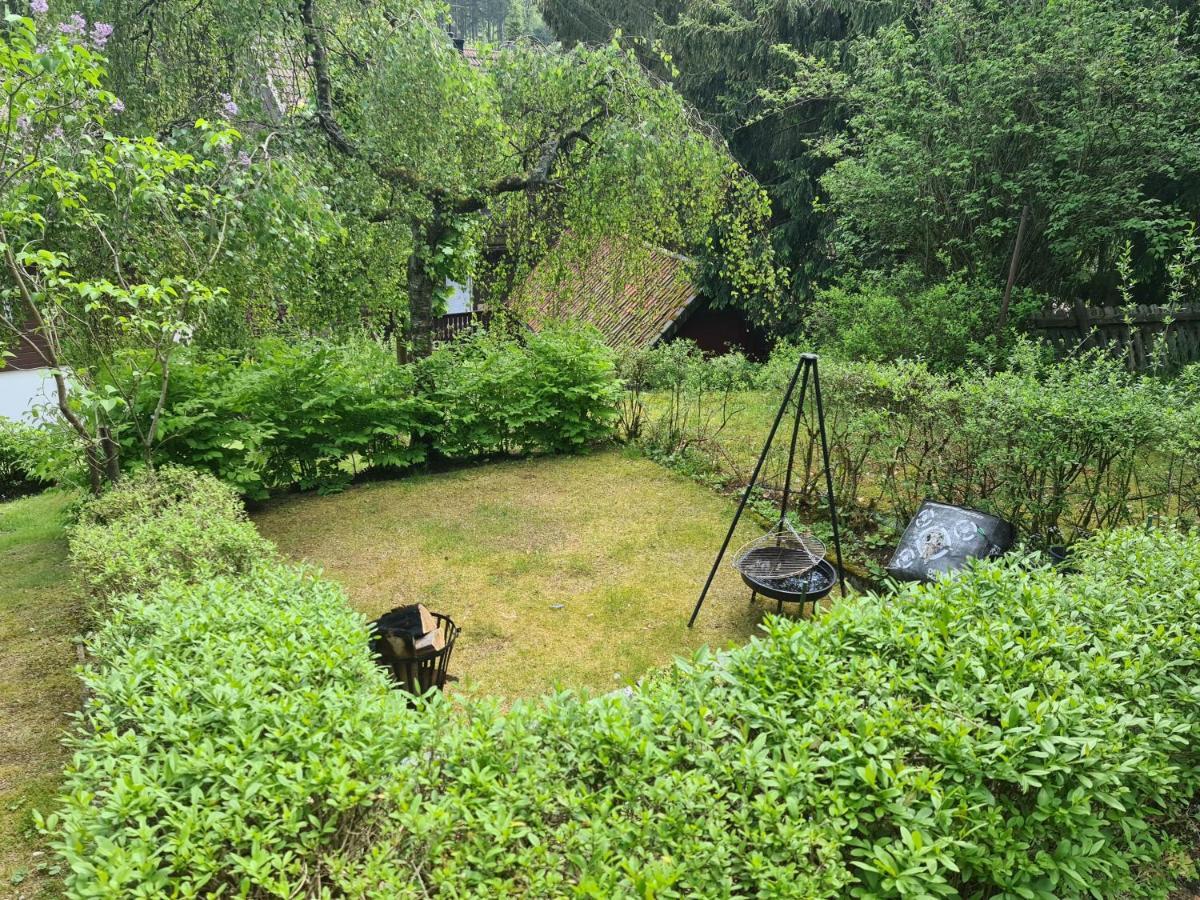 Ferienwohnung FeWo FITTJE Braunlage Harz Exterior foto